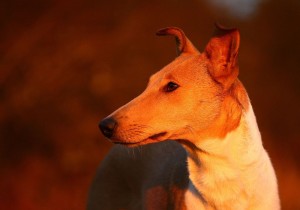 010a9fde2b2e461d578b5957db31e01d