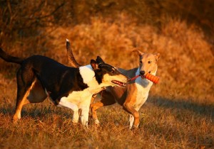 0f76b708d3c45a0b149a0a26e877e98d