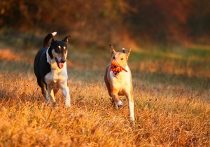 5955bd5f2c5752106d2745f3b50b0830 