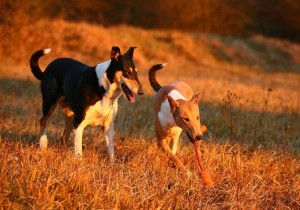 89a5a6880284835f06e0f8e1337af0e3