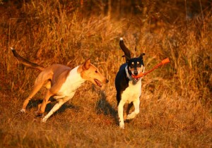 b8234a2c4a9c4b31dbd60c7cfe381764 