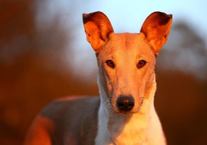 f967804ba51212e6458e193dd89a3dbf 