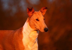 fb7763a5b3ed5b42425197975905a325 