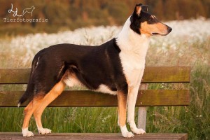 0242331e15bda3692fbdf217a069aa5d