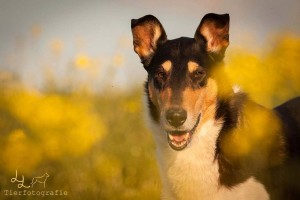 08efa6709aefb6aebdd19f9e082d7b1f