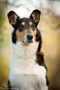 13c90798694528b24d8c544e54d64018