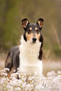 268cb33a5635f194c4590250156f4694