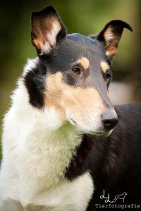 27238628202d30137a7e73750cd36e57