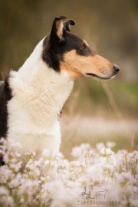 38eae6cbf8ad00fac7f16b0f26623d84