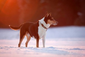 462ef2bc7f9e37bdda9cc30e39f78f0e