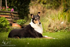 4887ef96cfc49bbc0e7ebdaf856bcd63