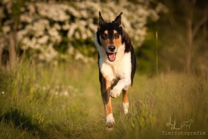 524b39f05c649d0347cfbb37225a1f09