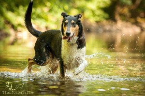 6245d5e609dea291d43af2ca1320e299