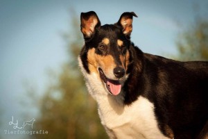 6842132911265bf52f9e6b798873e57b