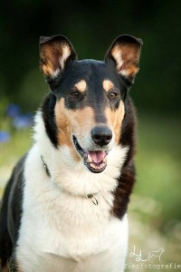 73e5b70c3abc58246f9edf24ca141047