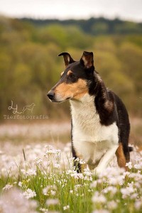 75bf18c0082848861567c05766d56f70