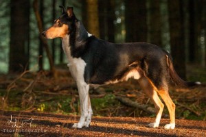 78f829c86ef1772a75285335a58fa97b