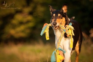 90a53d3a01f7f7749ab22b5be24f935a