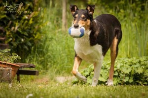 91bb7fee1db9c8b8364c8e07aedb1e00