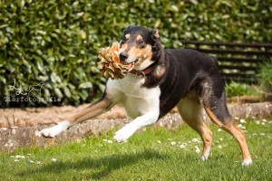 a1575cfa05a7d458b0fa32f80b34194e