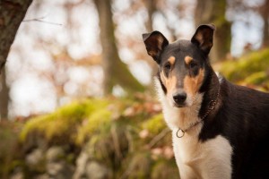 a1674255eb5cdb342f334d5042d089a9