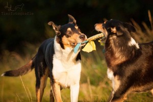 a4ee01cfa8df582ef9129cb95ad694c8