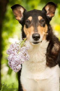 a7dce53f3310871201e91899839403fc