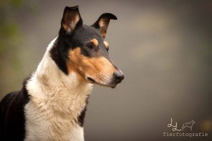 bbbba39384afe27fab9b73dde031e069