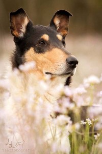 bcb6349f89b64f5e7d64b4be195a9f73