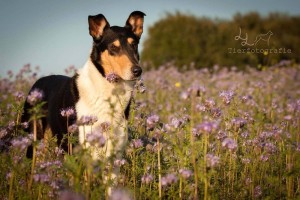 ca5f5d799dbff1ed85828baa52bdbfa6