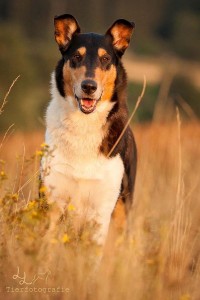 cb9f72a5969b974b8ffb558d1fd7c990