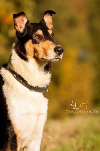 cc515f7b2c93d1525c664f9db7179bb7