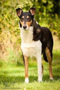 cda053af7b4f2a3f7af7cacc8816fae9