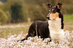 cfc43c9d659ac587536e172901b2bf2f