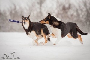 d1515f472fe1d54abefeb5c30b41a751