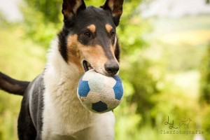 e1d31d6137cb0ba9efb5e6f4f3153f10