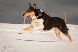 e2fdae8b0f0abc75752faa7ddefffcf1