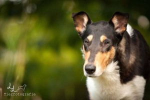 e5de9146265135b355f54e7c63f6117e