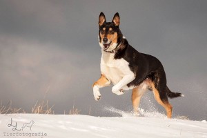 efcad03854b11fcb2f11324a6815cd2e