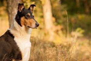 f41524c8c1f0347252c6cc80233f8f8e