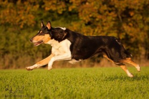 f6112b9d8a6cfe55240232fda961f220