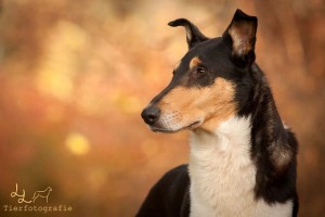 f746857985f73988a0ab693ca5ed1408