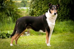 f7c943e8d0587b4bc0cefef009f42d87