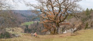 L_panorama1_1500galerie 