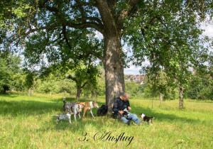 0000_-2046pvpp_1000_3