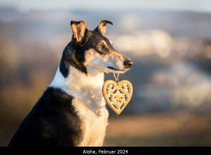 00_q-9559p_1000_2024   