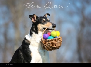 00c-5851p_1000ostern_rd         