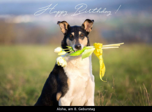 ostern2-0016p_1000birthday_text   