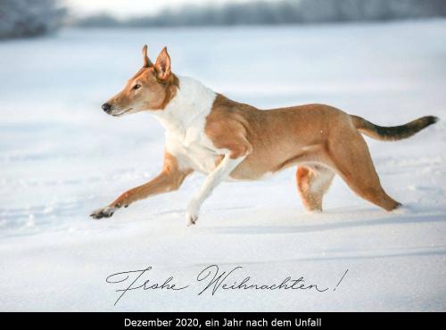 00-4015p 1000weihnachten 12 20