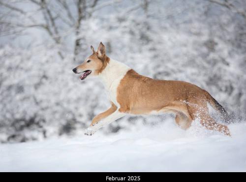 00 -8032pp 1000 2 25